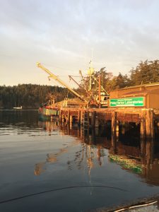 The dock at FHL