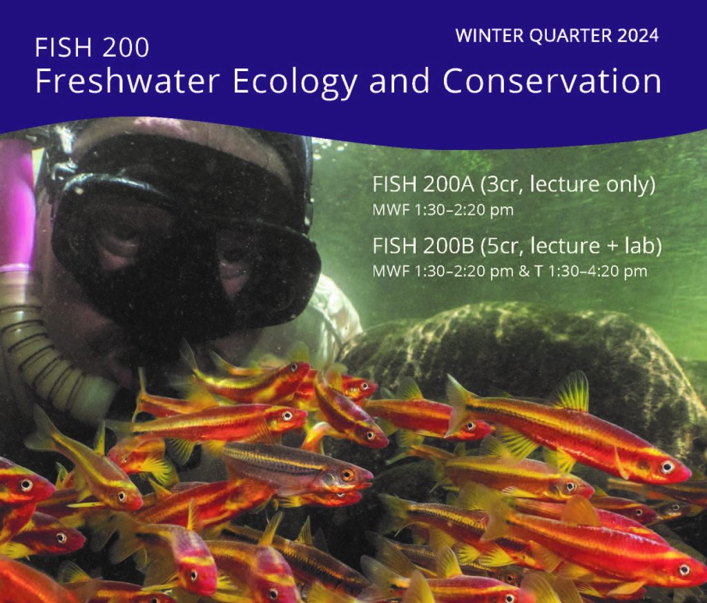 Image of diver in water in front of freshwater fish