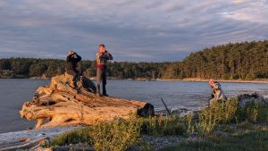 People overlooking the coastline at sunset