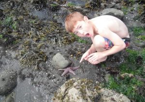 Spencer Hill as a child with an amazed look on his face, pointing to a seastar on the rocks