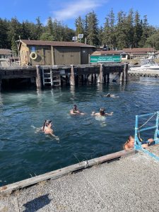 A group of people swim in the water off a dock