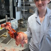 Lauren holds a meaty boat in a lab while conducting a necropsy.
