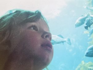 A childhood photo of Julia Knopf standing in an aquarium