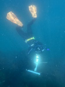 Olivia Hull dives underweater
