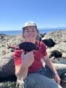 Erik Bengston sits on a rocky beach holding a large crab