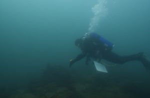 Walker Hobson scuba dives underwater