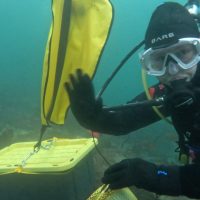 Cali Weber in scuba diving gear waving underwater near a black box with a yellow lid.