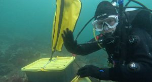 Cali Weber in scuba diving gear waving underwater near a black box with a yellow lid.