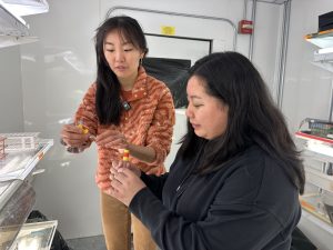Kathy Qi (l) and Alexis Thao (r) hold vials in a lab