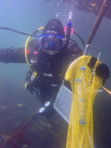 Cali Weber underwater in scuba diving gear holding a yellow net.