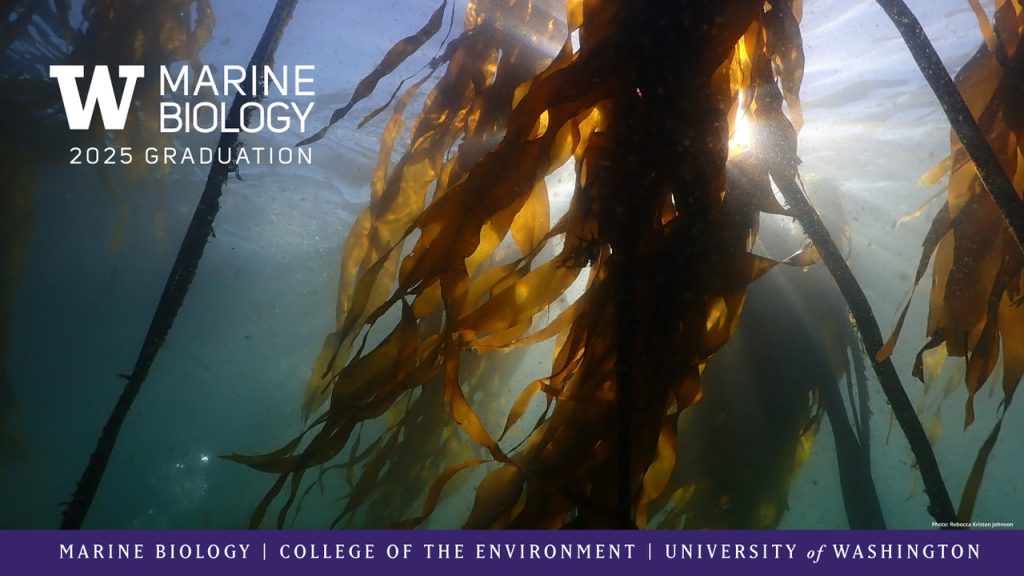 Marine Biology 2025 Graduation masthead photo of kelp underwater.