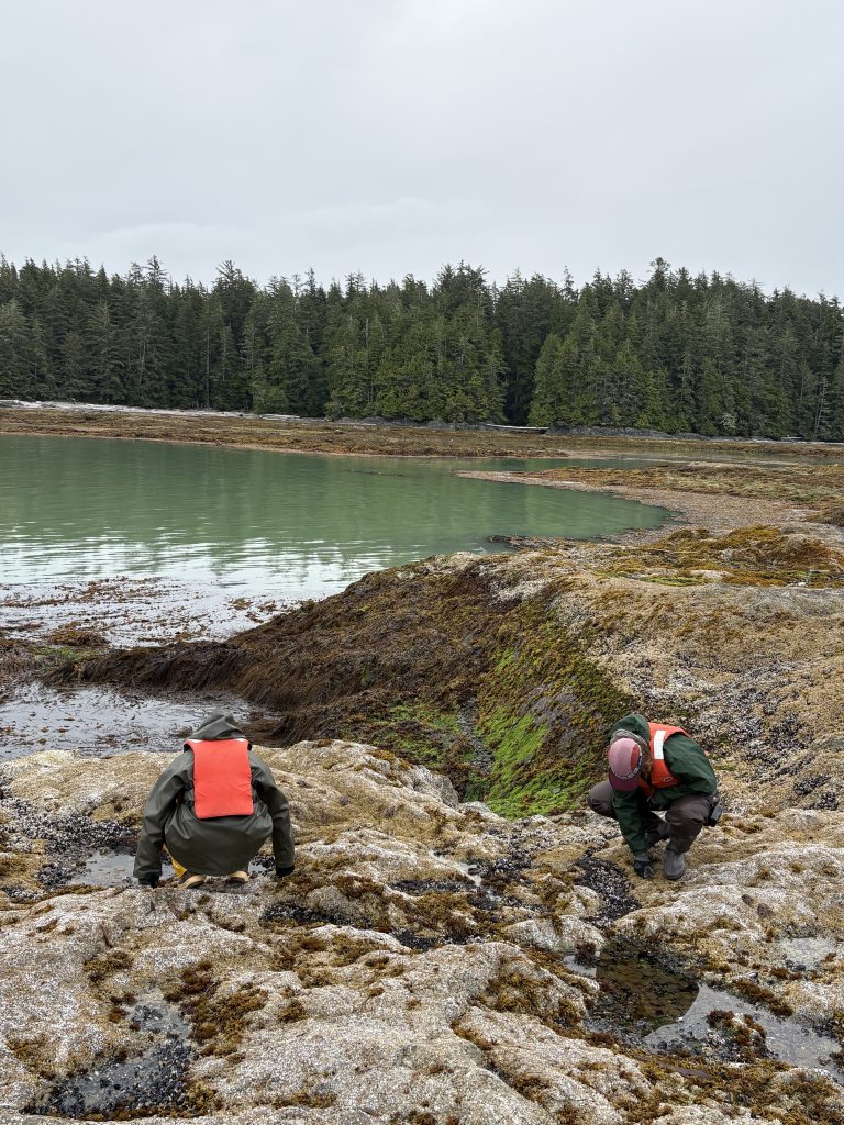 Two people crouch down on a rocky shoreline.