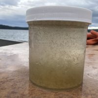 A jar filled with plankton, sitting on a table on a boat.