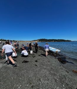 A group of people on a beach under blue skies.