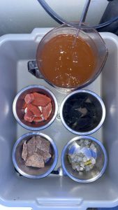 Five bowls of food being prepared for the Yawkey Coral Reef Gallery in the New England Aquarium. The bowls hold different types of food.
