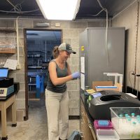 LAb Work