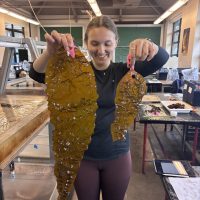 Kelp Experiment Results
