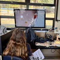 Amelia looking at zooplankton under a microscope at FHL