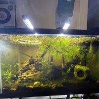 Aquarium