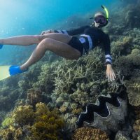 Photo taken at Lizard Island Research Station in the Great Barrier Reef before a snorkeling field excursion. This photo captures some of my favorite memories exploring the reef and learning alongside people who shared the same passion for marine science.