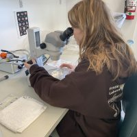 Amber looking in microscope