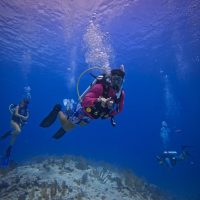 This photo was taken during one of my first few dives during my study abroad time with SFS on South Caicos