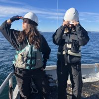 FHL Kittiwake Trawl: Conducting a bottom trawl across the San Juan Channel for class at FHL