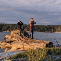 Two individuals on drift wood