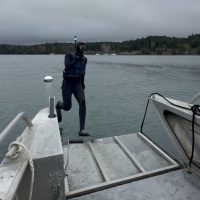 Snorkel Transect off of the Skua in Blind Bay, Shaw Island, San Juan Islands