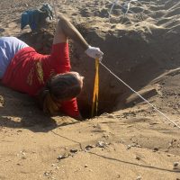 Field work on beach