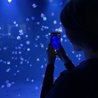 Silhouette in front of aquarium