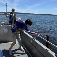 We were on a boat next to Turn Island near Friday Harbor. We were collecting bull kelp blades for our project.
