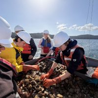 Kittiwake trawl with zoobot invertebrates class