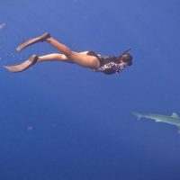 Diver with shark