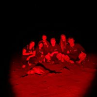 Group with sea turtle at night