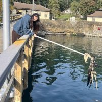 Eunice_with-a-dead-bird-at-FHL-dock-