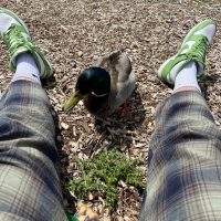 duck between person's legs