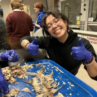 Fish dissection in Fish 310