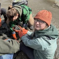 Digging up transects at the Swinomish tribe's clam gardens for their yearly survey