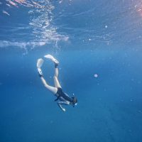 diving-Clara-Kreutziger-