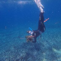 Snorkeling for seagrass