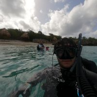 snorkeling in tropical water