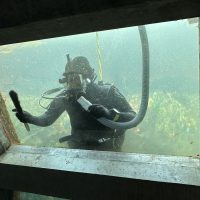 Cleaning the glass in the underwater dome at the Seattle Aquarium.