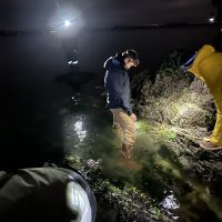tide pooling at night