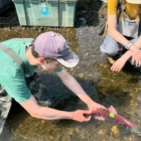 Man holding fish in stream